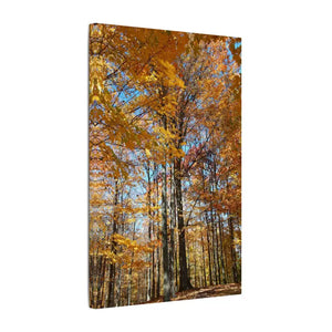 Autumn Season Canvas - Giant Tree Matte Wall Art - Dipaliz - Posters Prints & Visual Artwork