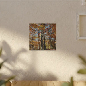 Autumn Season Canvas - Giant Tree Matte Wall Art - Dipaliz - Posters Prints & Visual Artwork