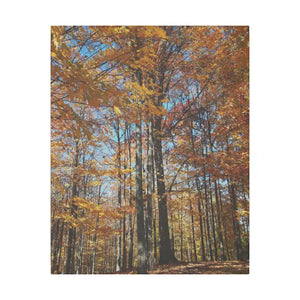Autumn Season Canvas - Giant Tree Matte Wall Art - Dipaliz - 16″ x 20″ (vertical) / 0.75’’ - Posters Prints & Visual