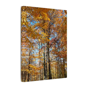 Autumn Season Canvas - Giant Tree Matte Wall Art - Dipaliz - Posters Prints & Visual Artwork