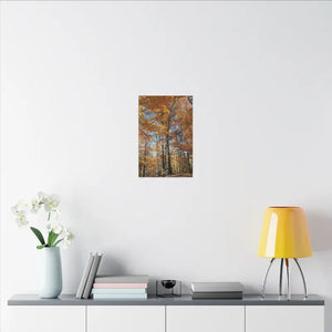 Autumn Season Canvas - Giant Tree Matte Wall Art - Dipaliz - Posters Prints & Visual Artwork