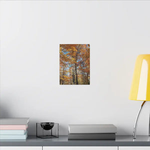 Autumn Season Canvas - Giant Tree Matte Wall Art - Dipaliz - Posters Prints & Visual Artwork
