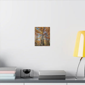 Autumn Season Canvas - Giant Tree Matte Wall Art - Dipaliz - Posters Prints & Visual Artwork