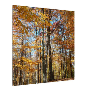 Autumn Season Canvas - Giant Tree Matte Wall Art - Dipaliz - Posters Prints & Visual Artwork