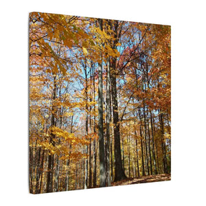 Autumn Season Canvas - Giant Tree Matte Wall Art - Dipaliz - Posters Prints & Visual Artwork