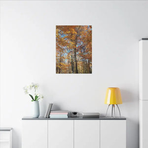 Autumn Season Canvas - Giant Tree Matte Wall Art - Dipaliz - Posters Prints & Visual Artwork