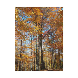 Autumn Season Canvas - Giant Tree Matte Wall Art - Dipaliz - Posters Prints & Visual Artwork