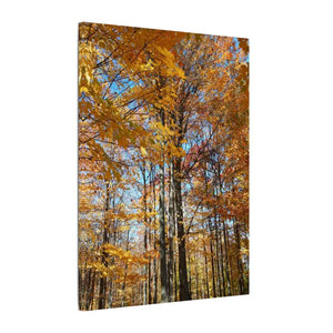 Autumn Season Canvas - Giant Tree Matte Wall Art - Dipaliz - Posters Prints & Visual Artwork