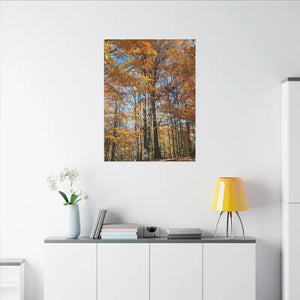 Autumn Season Canvas - Giant Tree Matte Wall Art - Dipaliz - Posters Prints & Visual Artwork