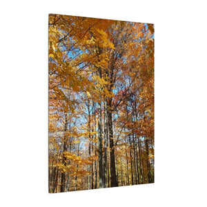 Autumn Season Canvas - Giant Tree Matte Wall Art - Dipaliz - Posters Prints & Visual Artwork