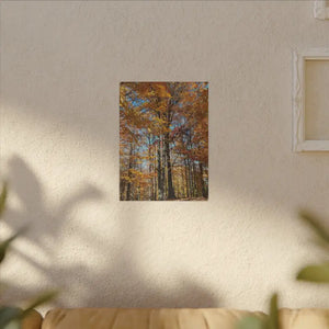 Autumn Season Canvas - Giant Tree Matte Wall Art - Dipaliz - Posters Prints & Visual Artwork