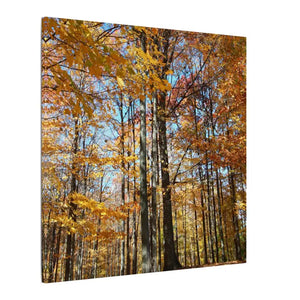 Autumn Season Canvas - Giant Tree Matte Wall Art - Dipaliz - Posters Prints & Visual Artwork