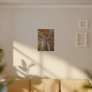 Autumn Season Canvas - Giant Tree Matte Wall Art - Dipaliz - Posters Prints & Visual Artwork