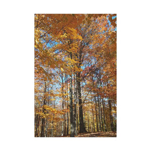 Autumn Season Canvas - Giant Tree Matte Wall Art - Dipaliz - 24’’ x 36’’ (vertical) / 0.75’’ - Posters Prints & Visual