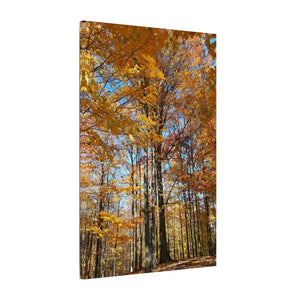 Autumn Season Canvas - Giant Tree Matte Wall Art - Dipaliz - Posters Prints & Visual Artwork