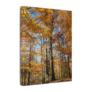 Autumn Season Canvas - Giant Tree Matte Wall Art - Dipaliz - Posters Prints & Visual Artwork