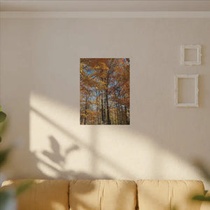 Autumn Season Canvas - Giant Tree Matte Wall Art - Dipaliz - Posters Prints & Visual Artwork