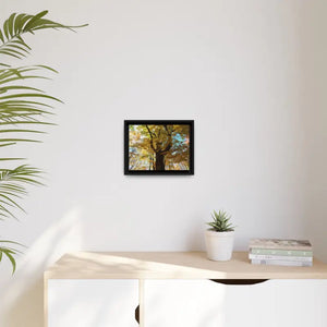 Matte Canvas Black Frame| Giant Tree in Autumn with Yellow Leaves| Dipaliz - Posters Prints & Visual Artwork