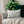 Green Leaves Polyester Lumbar Pillow – Eco Friendly - Dipaliz - Pillows