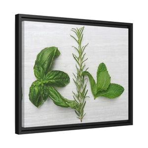 Bold Rosemary Matte Canvas - Black - Dipaliz - Posters Prints & Visual Artwork