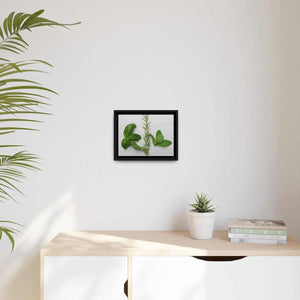Bold Rosemary Matte Canvas - Black - Dipaliz - Posters Prints & Visual Artwork