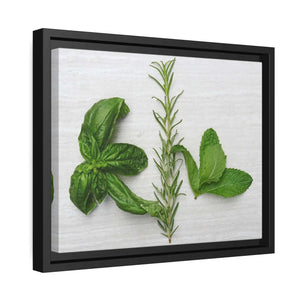 Bold Rosemary Matte Canvas - Black - Dipaliz - Posters Prints & Visual Artwork