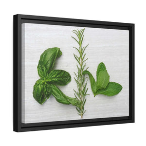 Bold Rosemary Matte Canvas - Black - Dipaliz - Posters Prints & Visual Artwork
