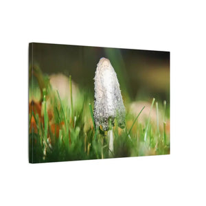 Matte Canvas Mushroom Art - Radial Pine Frame - Dipaliz - Posters Prints & Visual Artwork
