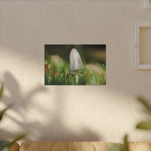 Matte Canvas Mushroom Art - Radial Pine Frame - Dipaliz - 18″ x 12″ (horizontal) / 0.75’’ - Posters Prints & Visual