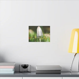 Matte Canvas Mushroom Art - Radial Pine Frame - Dipaliz - Posters Prints & Visual Artwork