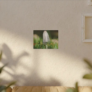 Matte Canvas Mushroom Art - Radial Pine Frame - Dipaliz - Posters Prints & Visual Artwork