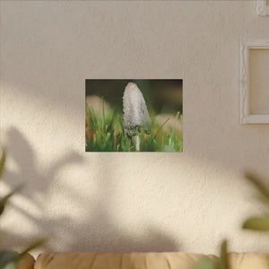 Matte Canvas Mushroom Art - Radial Pine Frame - Dipaliz - Posters Prints & Visual Artwork