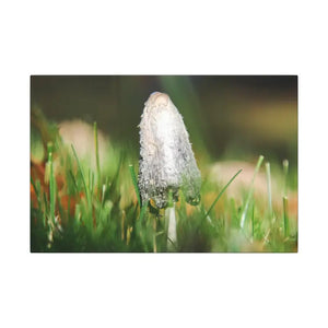 Matte Canvas Mushroom Art - Radial Pine Frame - Dipaliz - Posters Prints & Visual Artwork