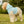 White Rib Dog Hoodie - Party Animal Polyester - Dipaliz - Pet Hoodies