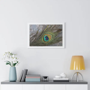 Peacock Feather Framed Horizontal Poster - Museum Quality - Dipaliz - Posters Prints & Visual Artwork