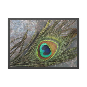 DipaliZ peacock feather framed paper poster in a black pinewood frame