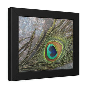 Bold Peacock Feather Framed Paper Posters - Dipaliz - Prints & Visual Artwork