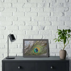 Bold Peacock Feather Framed Paper Posters - Dipaliz - Prints & Visual Artwork
