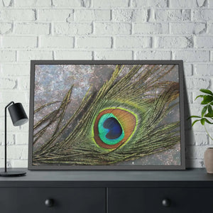 Bold Peacock Feather Framed Paper Posters - Dipaliz - Prints & Visual Artwork