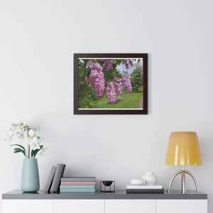 Purple Lilacs Spring Season Framed Horizontal Poster - Dipaliz - Posters