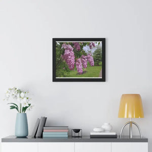 Purple Lilacs Spring Season Framed Horizontal Poster - Dipaliz - Posters