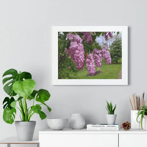 Purple Lilacs Spring Season Framed Horizontal Poster - Dipaliz - Posters