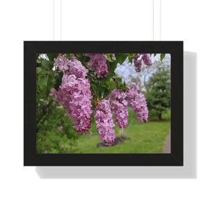 Purple Lilacs Spring Season Framed Horizontal Poster - Dipaliz - 16″ x 12″ / Black - Posters