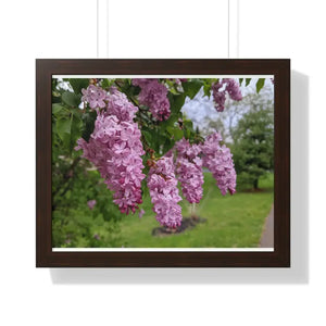 Purple Lilacs Spring Season Framed Horizontal Poster - Dipaliz - 20’’ x 16’’ / Walnut - Posters