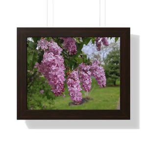 Purple Lilacs Spring Season Framed Horizontal Poster - Dipaliz - 14″ x 11″ / Walnut - Posters