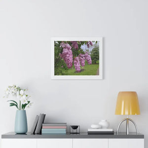 Purple Lilacs Spring Season Framed Horizontal Poster - Dipaliz - Posters