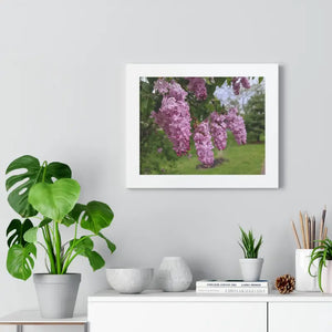 Purple Lilacs Spring Season Framed Horizontal Poster - Dipaliz - Posters