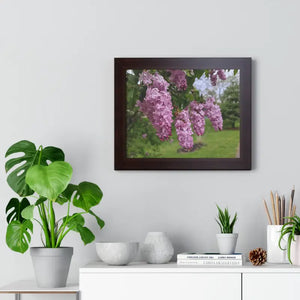 Purple Lilacs Spring Season Framed Horizontal Poster - Dipaliz - Posters