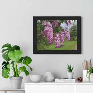 Purple Lilacs Spring Season Framed Horizontal Poster - Dipaliz - Posters