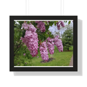 Purple Lilacs Spring Season Framed Horizontal Poster - Dipaliz - 20’’ x 16’’ / Black - Posters